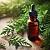 Cypress essential oil, 1 liter, photos, reviews, use