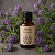 Alfalfa extract 1 L cosmetic ingredient Mylo Opt