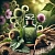 Burdock Fragrance Oil 1 L, photos, reviews, use