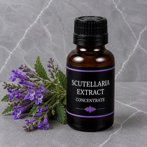 Skullcap Extract Concentrate 1 L cosmetic ingredient Mylo Opt
