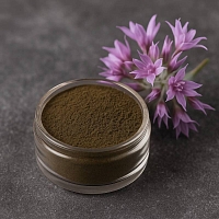 Jatamansi Ayurvedic Powder 10 g