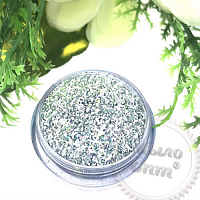 Glitter Silver TS 001 (0.4 mm) 1/64 '', 50 grams