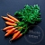 Carrot glycolic extract 1 L cosmetic ingredient Mylo Opt