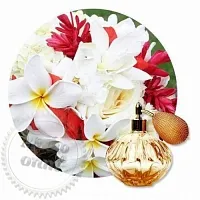 Fragrance Oil Kai 50 ml cosmetic ingredient Mylo Opt