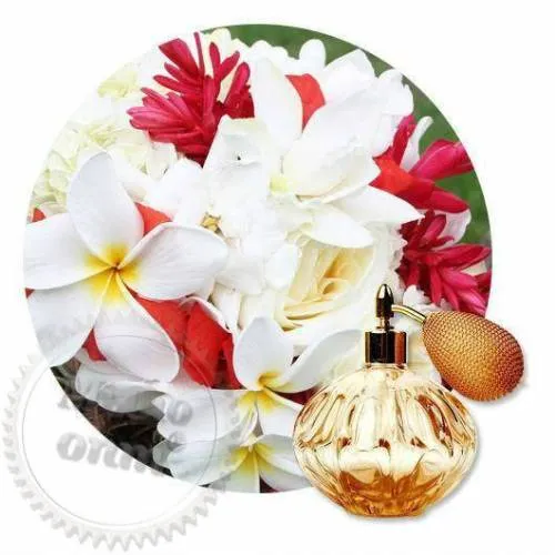 Fragrance Oil Kai 50 ml Mylo Opt global supplier Fragrance Oil Kai 50 ml cosmetic ingredient Mylo Opt