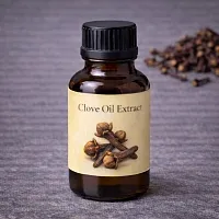Clove Oil Extract 1 L cosmetic ingredient Mylo Opt