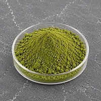 Green Tea Extract Powder 15 1 kg cosmetic ingredient Mylo Opt