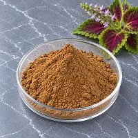 Forskolin Extract Powder 10 g cosmetic ingredient Mylo Opt