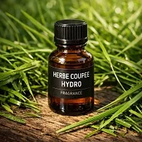 Herbe coupee hydro Fragrance Oil 1 L cosmetic ingredient Mylo Opt