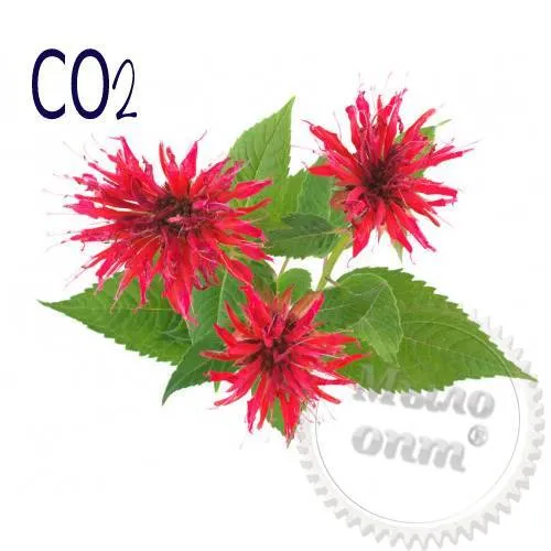 Monarda CO2 Extract 1 kg Mylo Opt global supplier Monarda CO2 Extract 1 kg cosmetic ingredient Mylo Opt