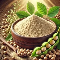 Экстракт Сои сухой, 5 грамм описание и применение