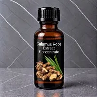 Galangal Extract Concentrate 1 L cosmetic ingredient Mylo Opt