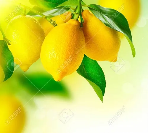 Ароматизатор пищевой Crazy Lemon, 5 мл