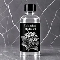 Kalanchoe Hydrosol 1 L cosmetic ingredient Mylo Opt
