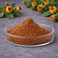 Екстракт Акмели 10% сухий, 100 гр