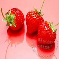 Strawberry Slime Flavor, 1 L cosmetic ingredient Mylo Opt