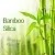Bamboo Silica 100 g cosmetic ingredient Mylo Opt