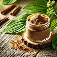 Экстракт Подорожника 10:1 сухой, 5 гр описание и применение