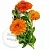 Calendula Fragrance Oil France 1 L cosmetic ingredient Mylo Opt