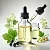 Blackcurrant Leaf Extract 1 L cosmetic ingredient Mylo Opt
