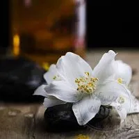 Віддушка Sultry Black Jasmine 50 мл