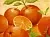 Food flavoring Tangerine, 5 ml cosmetic ingredient Mylo Opt