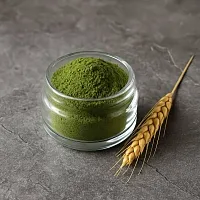 Порошок Ячменя, 1 кг описание и применение