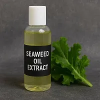 Seaweed Oil Extract 1 L cosmetic ingredient Mylo Opt