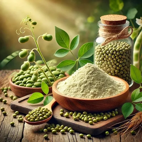 Mung Bean Extract Powder 1 kg, 1 290.50 UAH, rating ⭐⭐⭐⭐⭐ Milo Opt