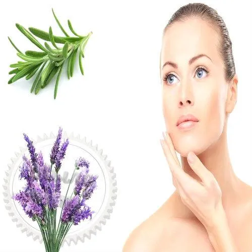 Phytoestrogen Complex for Skin Rejuvenation 1 L Mylo Opt global supplier Phytoestrogen Complex for Skin Rejuvenation 1 L cosmetic ingredient Mylo Opt