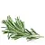 Flavoring food Rosemary, 1 L, photos, reviews, use