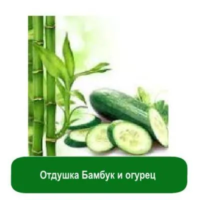 Отдушка Бамбук и огурец, 10 мл сырье для косметики Отдушка Бамбук и огурец, 10 мл артикул VV19020615