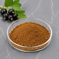 Black Currant Extract Powder 1 kg cosmetic ingredient Mylo Opt
