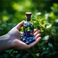 Blueberry essential oil, 100 ml