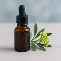 Sea Fennel (Crithmum Maritimum) 100 ml cosmetic ingredient Mylo Opt