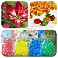 Sensation flavored granules 1 kg cosmetic ingredient Mylo Opt