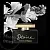Отдушка D&G The One Desire, 100 мл описание и применение