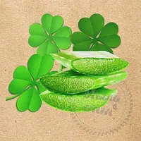 Fragrance Oil Green Clover and Aloe 50 ml cosmetic ingredient Mylo Opt
