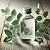 Eucalyptus Hydrosol 1 L cosmetic ingredient Mylo Opt