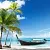 Tropical Breeze Fragrance Oil 1 L cosmetic ingredient Mylo Opt