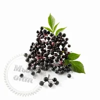 Buckthorn extract, 1 L