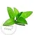 Glycolic Mint Extract 25 ml cosmetic ingredient Mylo Opt