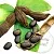 Velvet Bean Extract 100 g cosmetic ingredient Mylo Opt