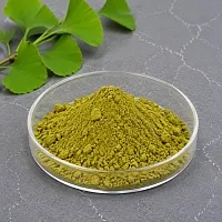Ginkgo Biloba Extract Powder 110 1 kg cosmetic ingredient Mylo Opt