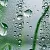 Preservative Euxyl K120, 1 L, photos, reviews, use