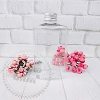 Bottle transparent Santa 250 ml alum cap from 100 pcs