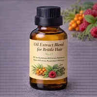 Oil Extract Blend №17 500 ml cosmetic ingredient Mylo Opt