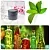 Stevia Extract Powder 51 1 kg cosmetic ingredient Mylo Opt
