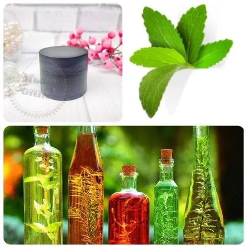 Stevia Extract Powder 51 1 kg Mylo Opt global supplier Stevia Extract Powder 51 1 kg cosmetic ingredient Mylo Opt