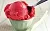 Food flavoring Strawberry sorbet, 5 ml cosmetic ingredient Mylo Opt